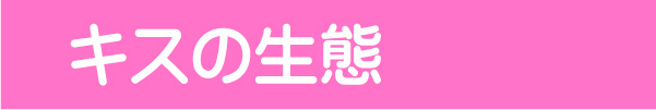 ނ鋛iނuj