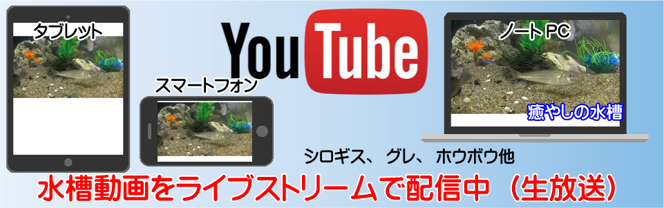 YoutubẽCuXg[ij