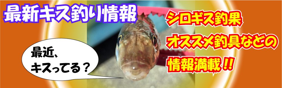 ŐVLXނ