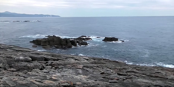 白浜町シシハイ 白浜町シシハイ